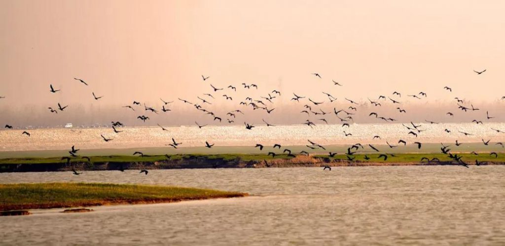 湖南849個(gè)鄉(xiāng)鎮(zhèn)要建成污水處理設(shè)施,總投資達(dá)268億- 湖南849個(gè)鄉(xiāng)鎮(zhèn)要建成污水處理設(shè)施,總投資達(dá)268億-