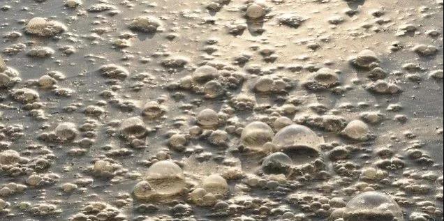 污水廠內(nèi)的生物氣溶膠，污水從業(yè)人員必讀-