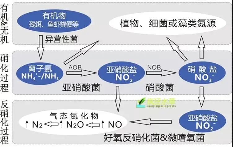 面對低濃度氨氮工業廢水束手無策?這幾種方法可以解決- 面對低濃度氨氮工業廢水束手無策?這幾種方法可以解決-